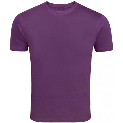 Plum solid round neck T-shirt